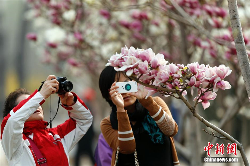 „Magnolienteerunde“ im Beijing International Sculpture Park