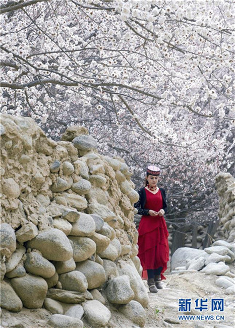 Pamir-Hochebene im Frühling