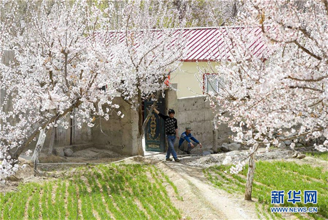 Pamir-Hochebene im Frühling