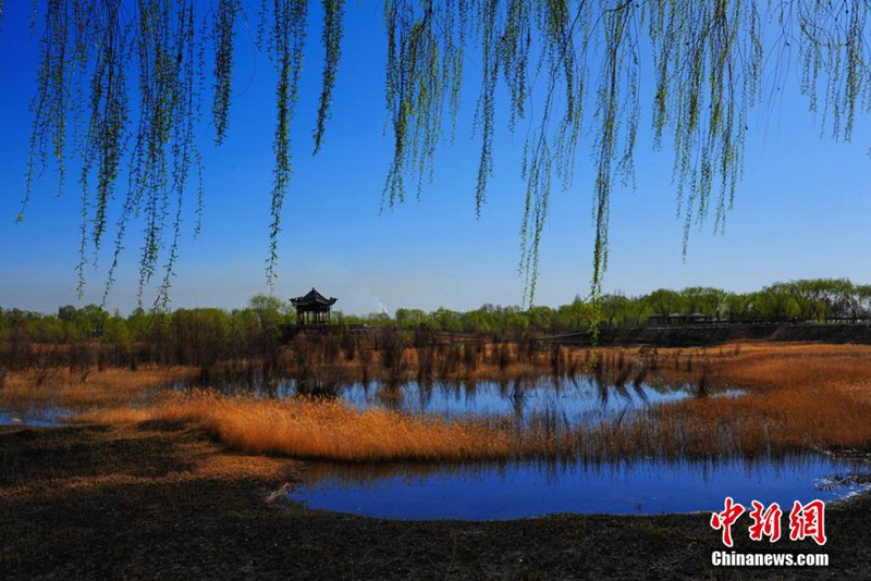 Jiayuguan im Frühling