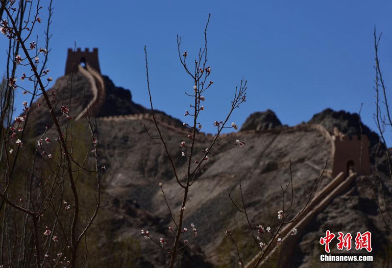 Jiayuguan im Frühling