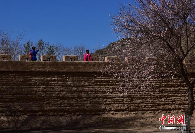 Jiayuguan im Frühling