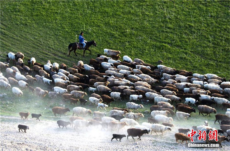 Besuch der Wiesen entlang des Ili-Flusses in Xinjiang