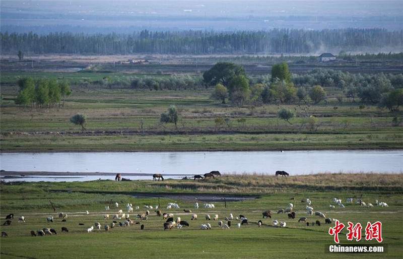 Besuch der Wiesen entlang des Ili-Flusses in Xinjiang