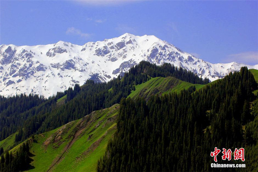 Der Frühling am Sayram-See in Xinjiang