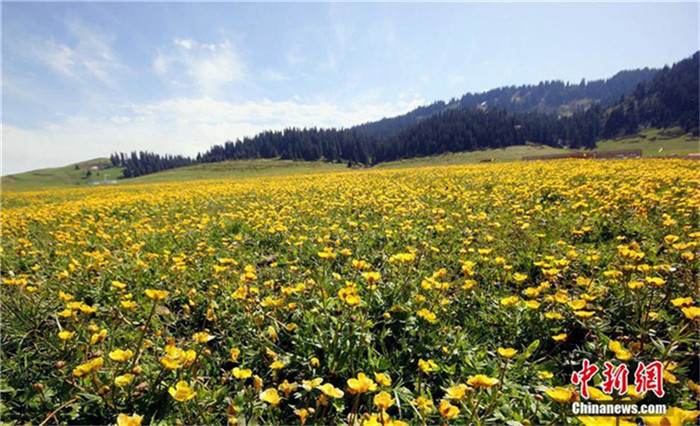 Der Frühling am Sayram-See in Xinjiang