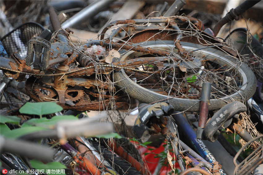 Rostet in Frieden – Fahrrad-Friedhof einer Shandonger Universität
