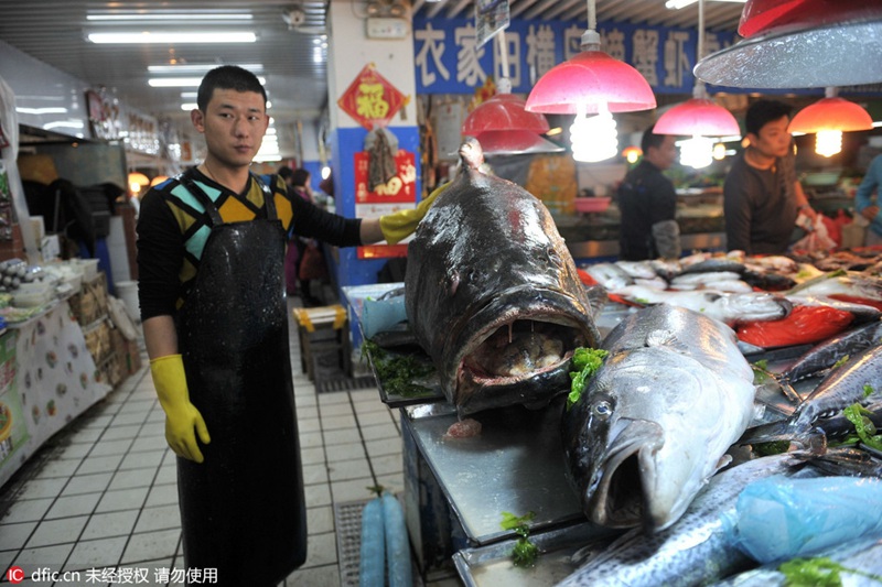 Ganz großer Fang – Riesenzackenbarsch auf Qingdaoer Fischmarkt