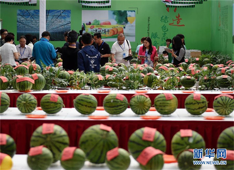 Wassermelonenfest in Beijing