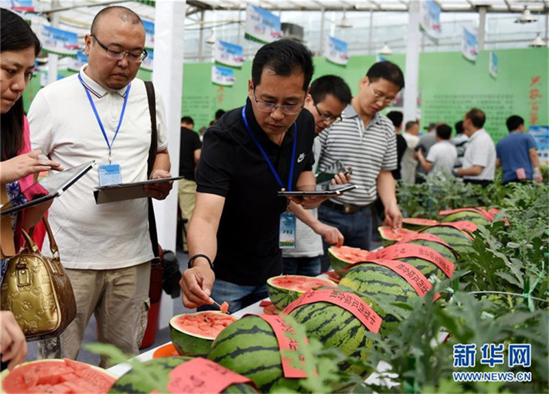 Wassermelonenfest in Beijing