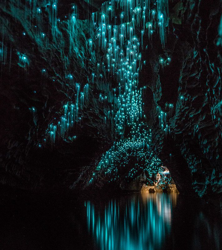 Magische Glühwürmchen-Höhle in Neuseeland