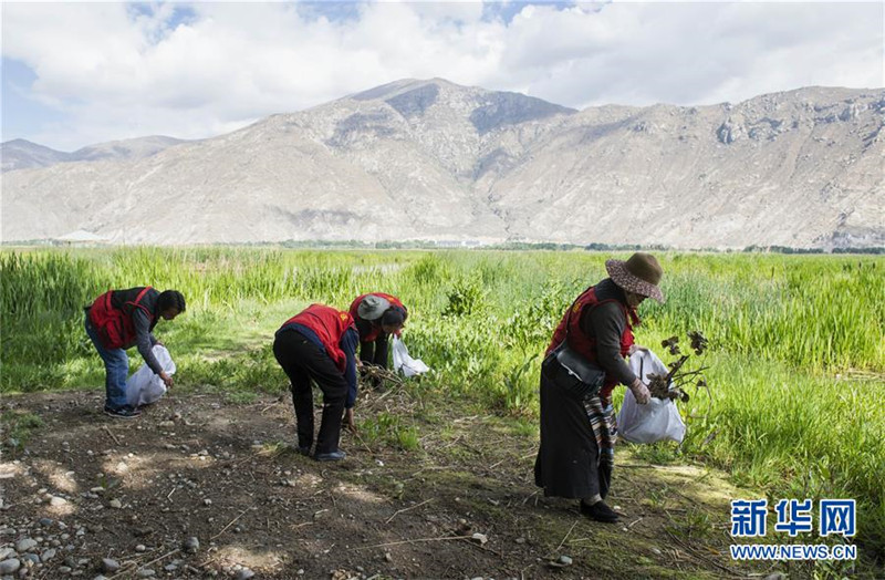 Weltumwelttag: Freiwillige reinigen Tibet von Abfällen