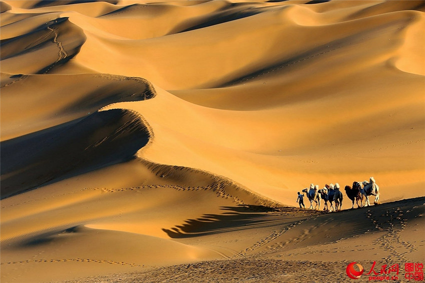 Kumtang – Die Wüste in der Stadt