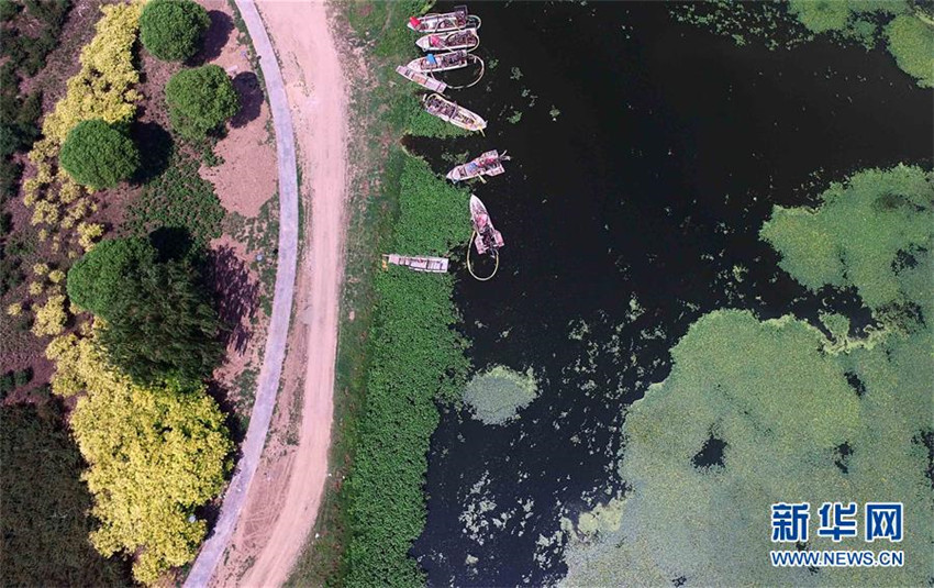 Luftbilder: Chaobai-Flussauenpark in Tianjin