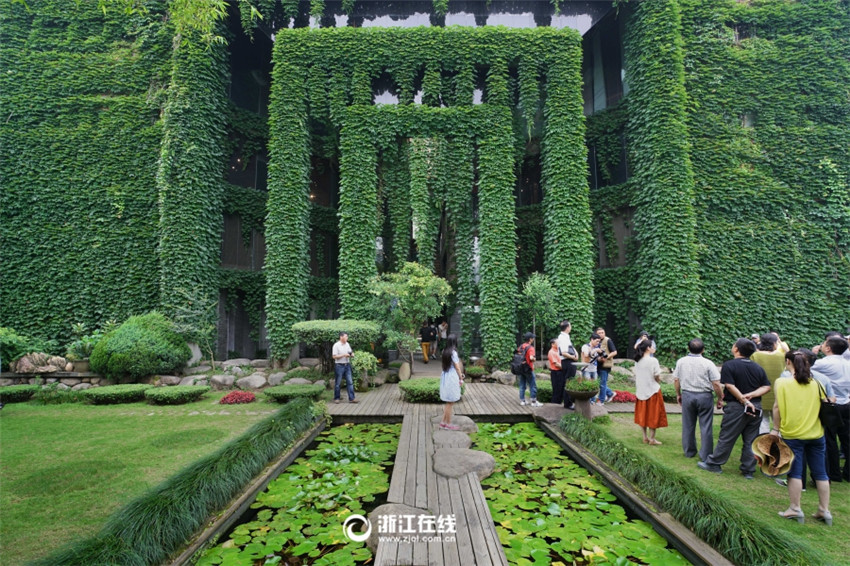 Wie aus dem Märchen – Grün umranktes Haus in Wenzhou