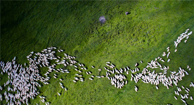 Preisträger des UAV-Fotowettbewerbs 2016