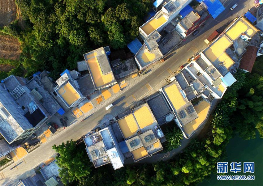 Goldene Dächer in Guangxi