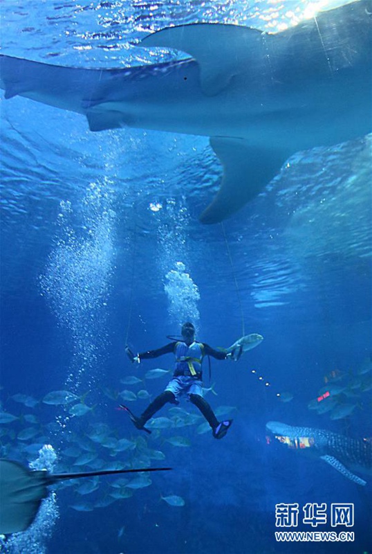 „Olympische Unterwasser-Spiele“ in Yantai