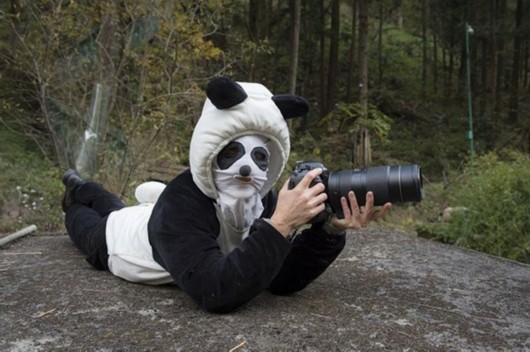 Bärendienst – Fotografin wird selbst zum Panda