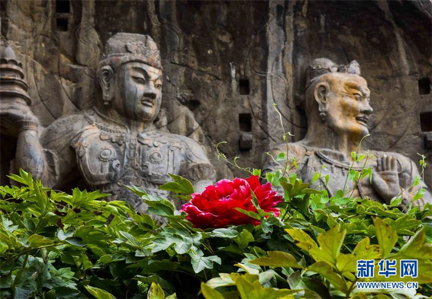 Atemberaubende Steinkunst: Longmen-Grotten in Luoyang