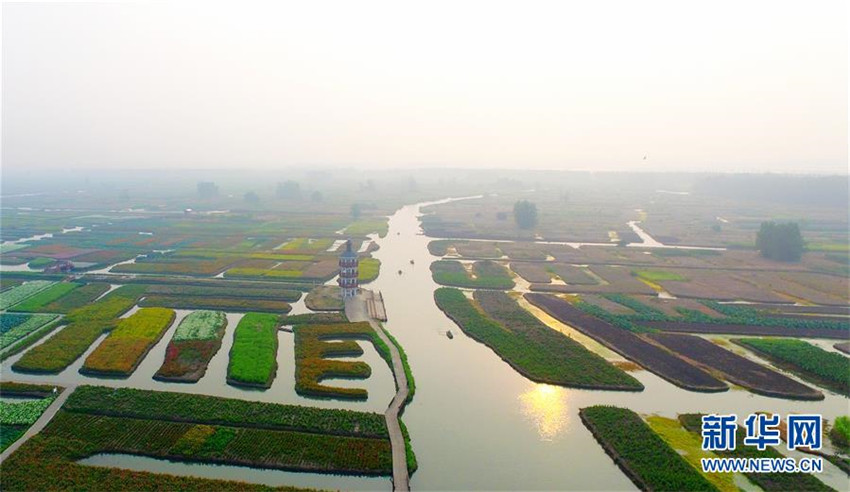 Inseln der Farbe in Jiangsu