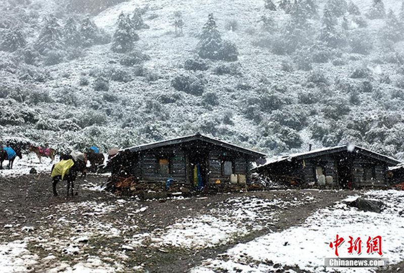 Schnee in Yading