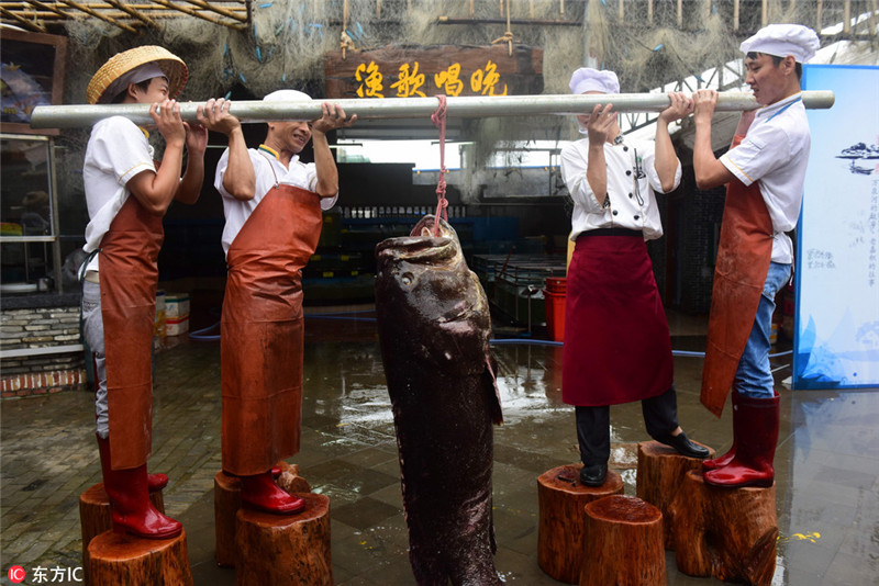 Fischer fangen 1.76 Meter langen Zackenbarsch in Hainan
