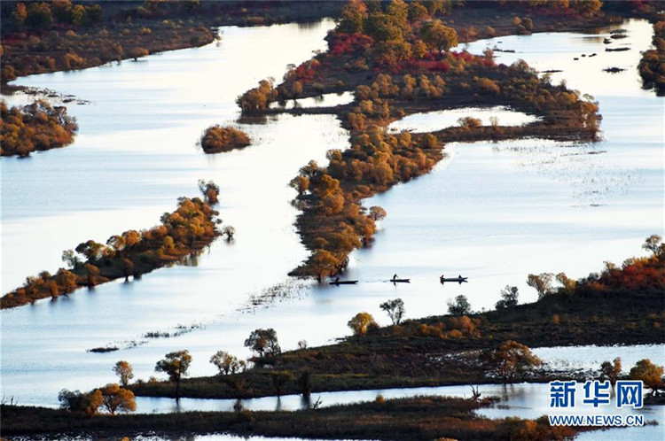 Das fantastische Feuchtgebiet Zhenbao-Insel aus der Vogelperspektive