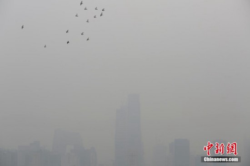 Beijing wieder von Smog betroffen