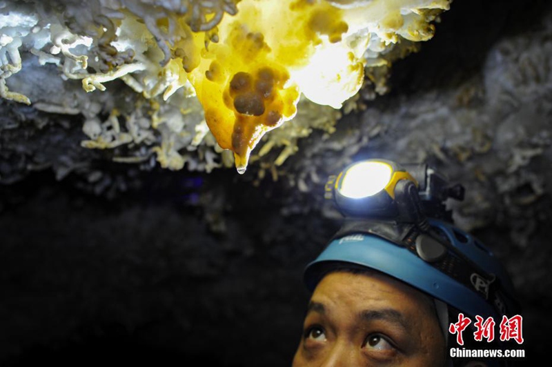 Zweitlängste Höhle Asiens in Guizhou