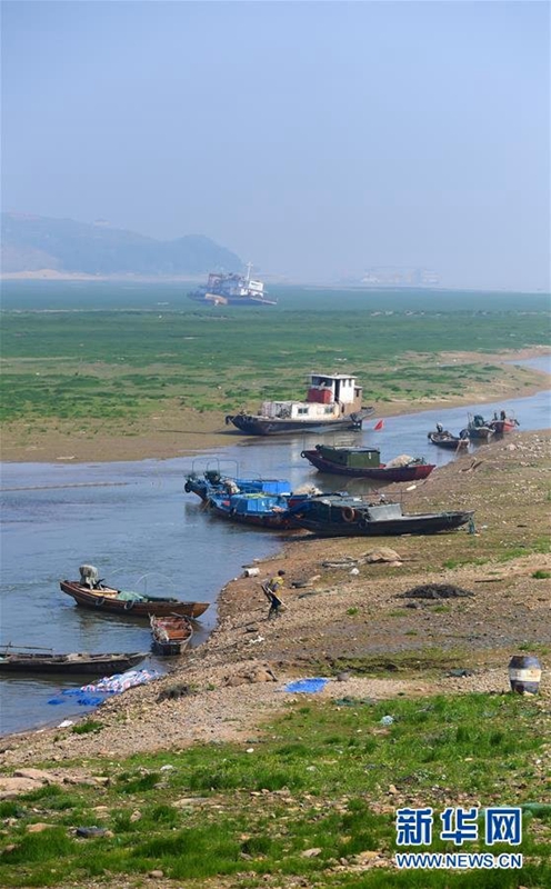 Größter Süßwassersee Chinas vergrast