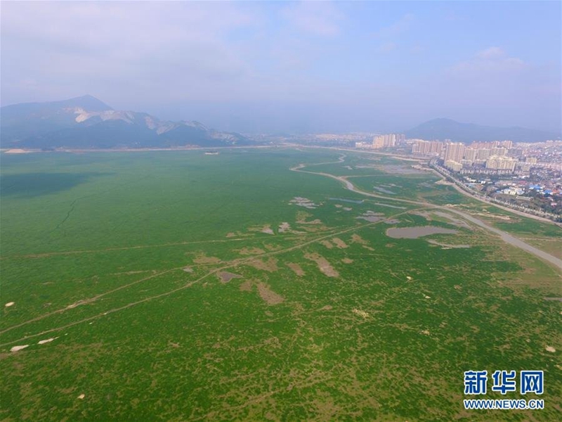 Größter Süßwassersee Chinas vergrast