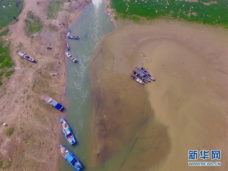 Größter Süßwassersee Chinas vergrast