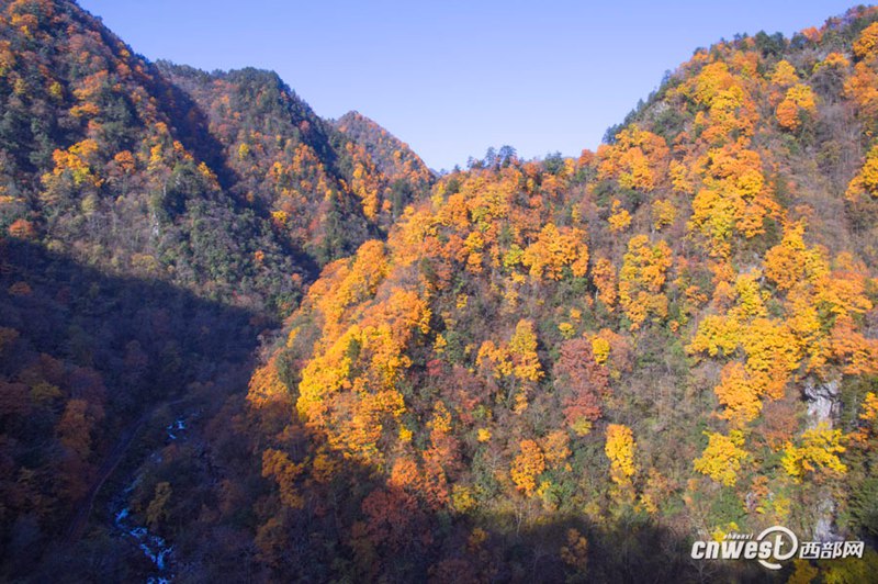 Farbiger Herbst in der Feidu-Schlucht