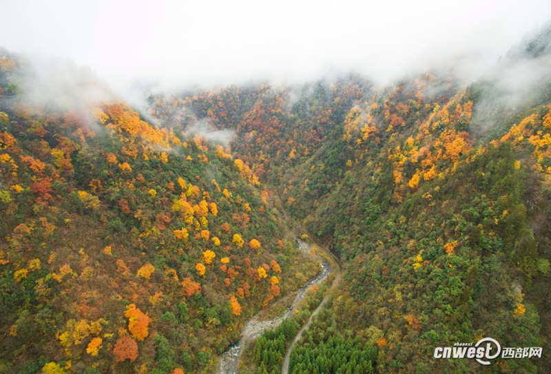 Farbiger Herbst in der Feidu-Schlucht