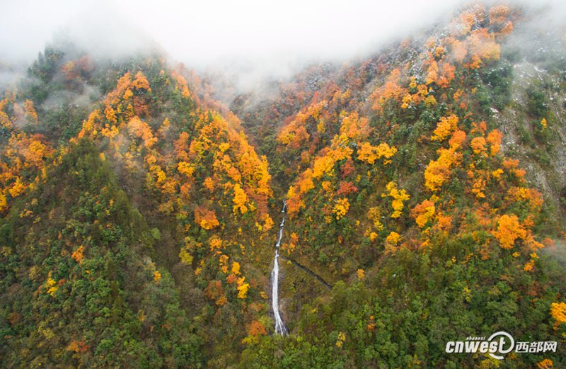 Farbiger Herbst in der Feidu-Schlucht