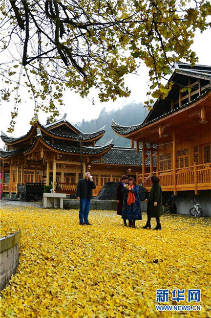 1500-jähriger Ginkgo in Hubei