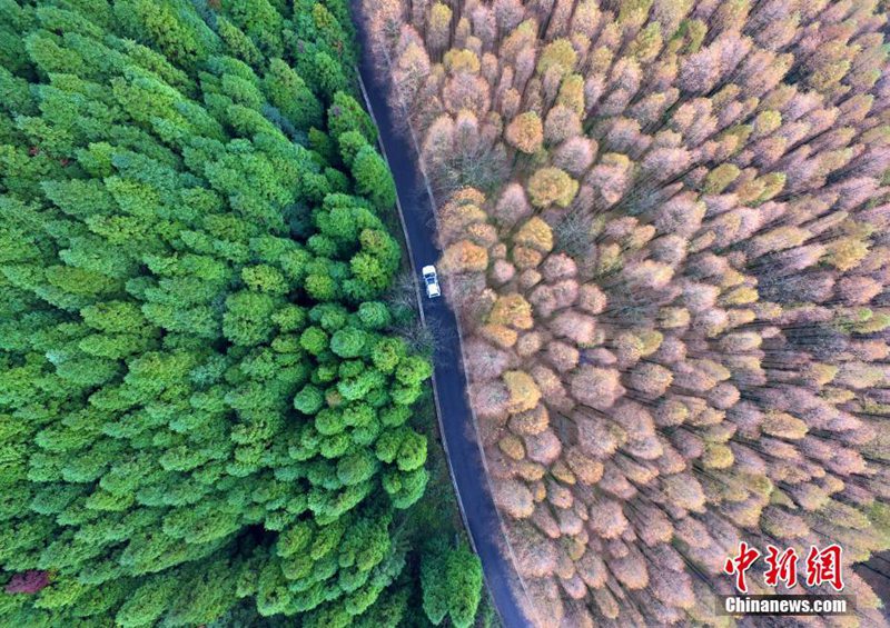 Nationaler ökologischer Karst-Park aus der Vogelperspektive