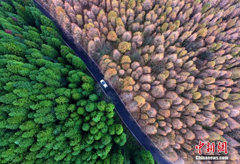 Nationaler ökologischer Karst-Park aus der Vogelperspektive