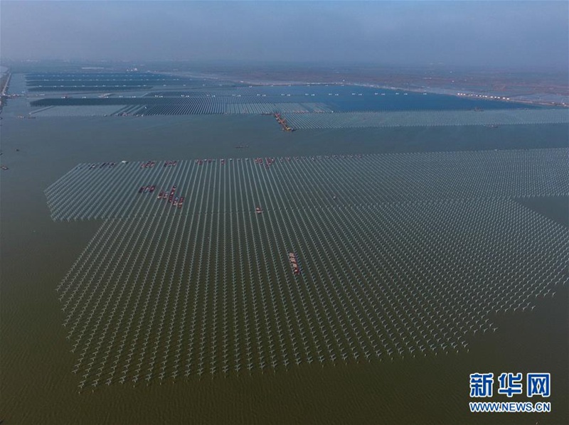 Kombination aus Fischzucht und Solarpark in Cixi