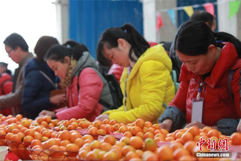 Krönung des Kumquatkönigs in Guangxi