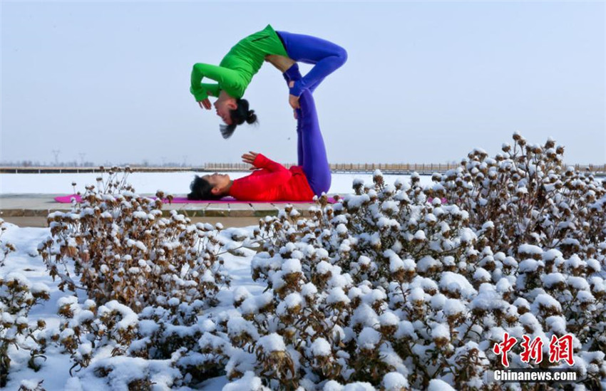 Yoga im Schnee
