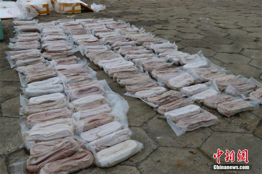 1.609 Krokodilhäute in Guangxi beschlagnahmt