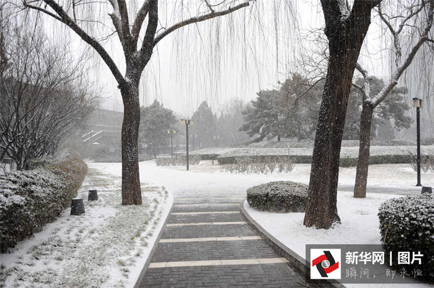 Beijing begrüßt ersten Schnee des Jahres