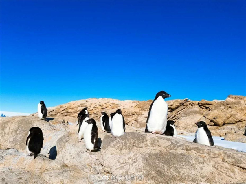 Landschaft rund um die chinesische Antarktisstation Zhongshan