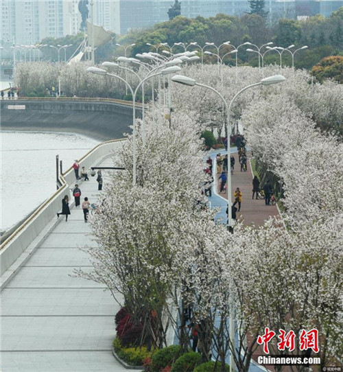 Chinas schönster Laufweg am Qiantang-Fluss
