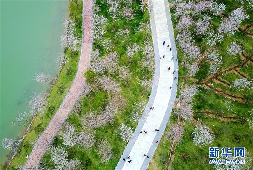 Luftbilder: Frühlingslandschaft in südwestchinesischer Provinz Guizhou