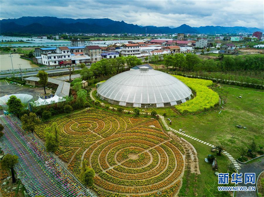Zhejiangs Planetenfarm begrüßt die Blütezeit