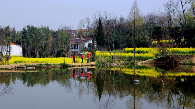 Chinas schönstes Rapsblütenmeer – Tourismus- und Kulturfest in Hanzhong im März eröffnet