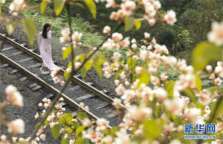 Dampfkraft und Blumenduft – Alte Schmalspurbahn in Sichuan